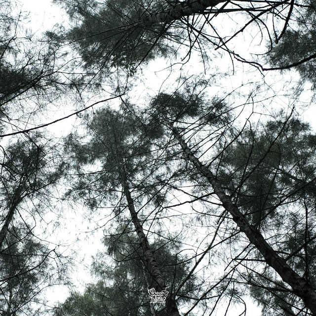 เหมืองหินถ้ำทองหลาง