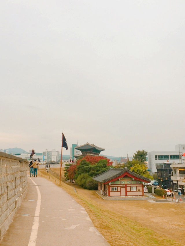 행궁동 분위기 느좋💚