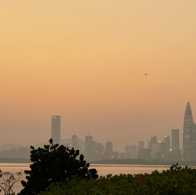 深圳灣公園｜12月深圳的浪漫是日落和海鷗給的