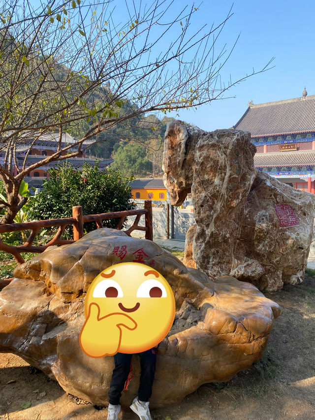 落羽杉與溫泉。森呼吸