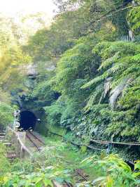 น้ำตกซือเฟิ่น ธรรมชาติสวยงามเมืองไทเป 🌳