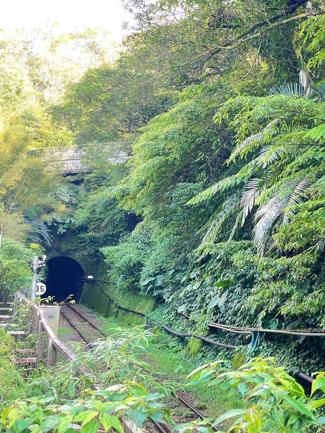 น้ำตกซือเฟิ่น ธรรมชาติสวยงามเมืองไทเป 🌳