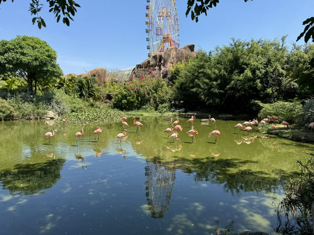 KING'S GARDEN