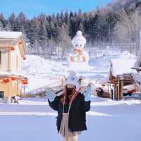 ฮาร์บิ้น ไปเองไม่ง้อทัวร์ แต่ง้อtrip.com