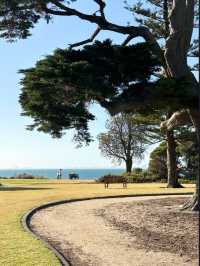 Visit Melbourne Brighton beach Rainbow❤️
