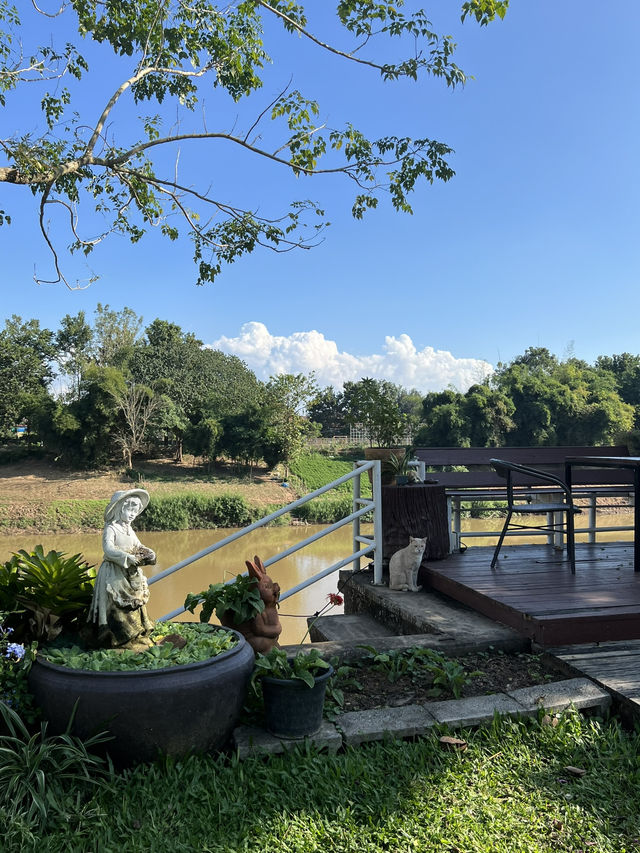 🌲🍃น่านริมน้ำ 🍵