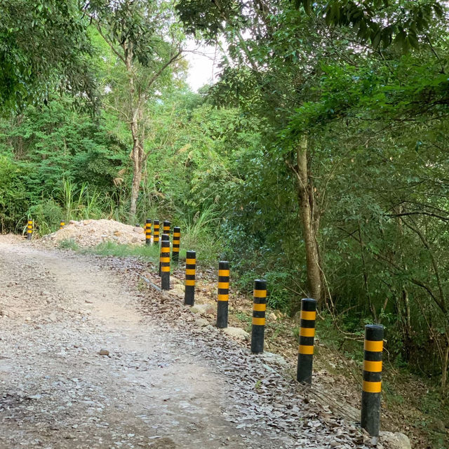 田溪：青山綠水的秘境🏞️