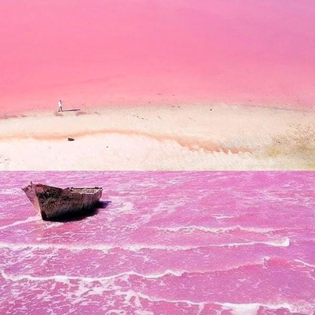 A Pink Paradise: Have You Seen the Stunning Lake Hillier in Perth??