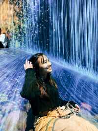 Teamlab Borderless พิพิธภัณฑ์โตเกียว