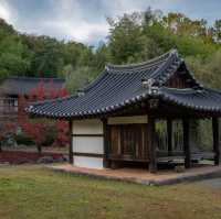 Juknokwon Bamboo Forest (Damyang)