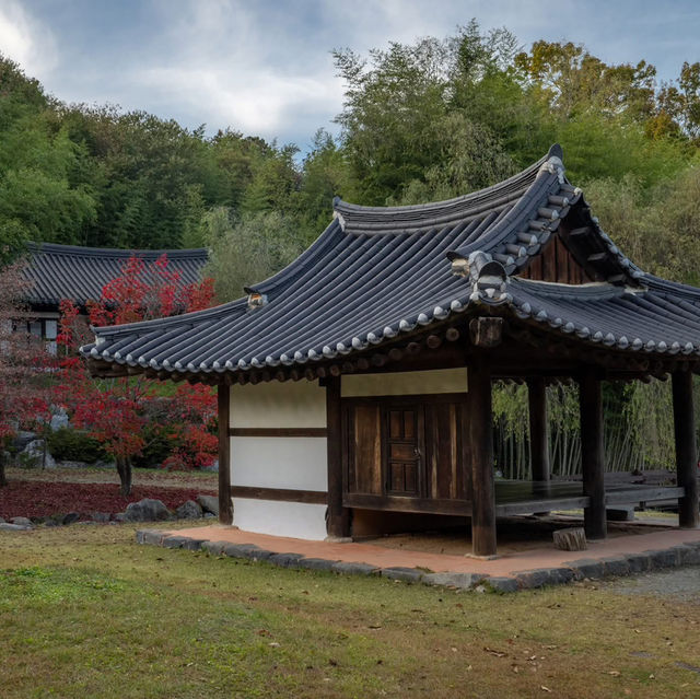 Juknokwon Bamboo Forest (Damyang)