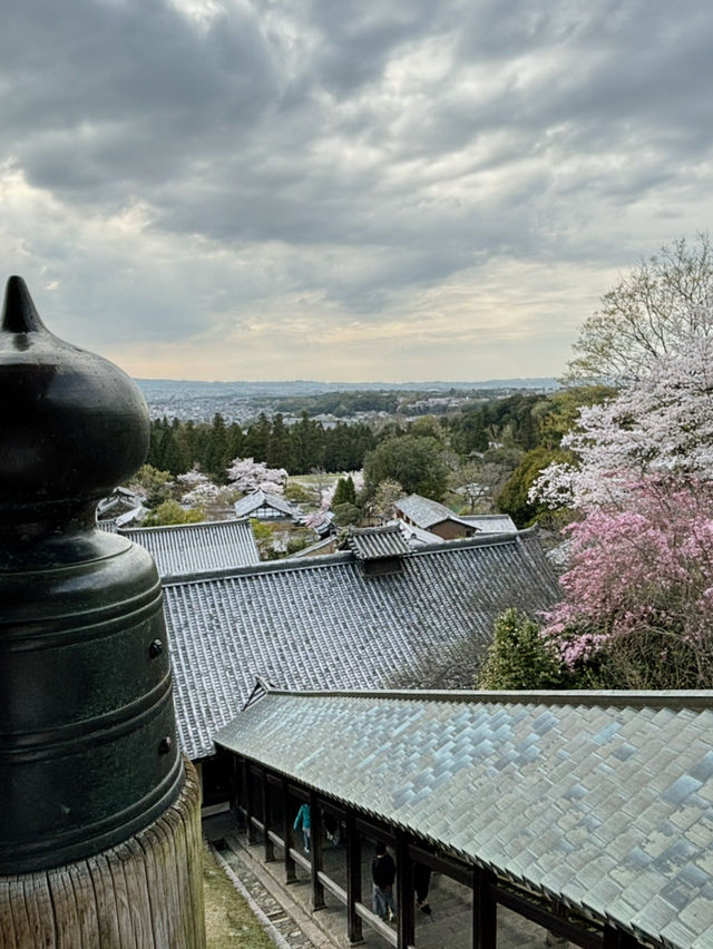 陰雲下的靜謐：探索奈良二月堂的魅力之旅