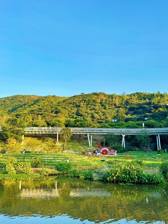 珠海木頭沖村鶴道花海：鄉村振興中的生態旅遊新亮點🌸