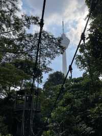 Into the woods 🍃 My morning bliss at Taman Eco Rimba, KL 🌳