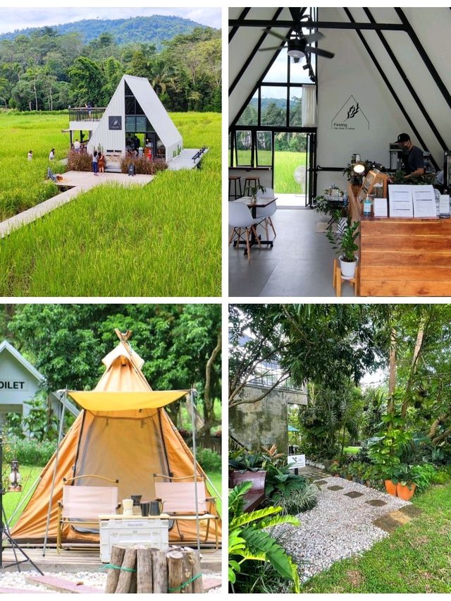 5 พิกัด คาเฟ่สวย น่าเที่ยว ใน เชียงราย 