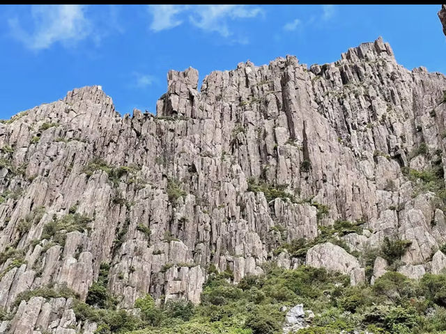 Ben Lomond National Park 
