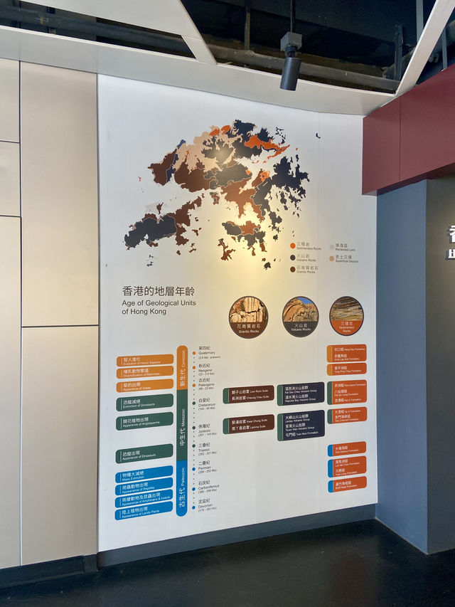 🪵😍讓人耳目一新的香港首個「如心園」木化石公園 ｜親子好去處👯