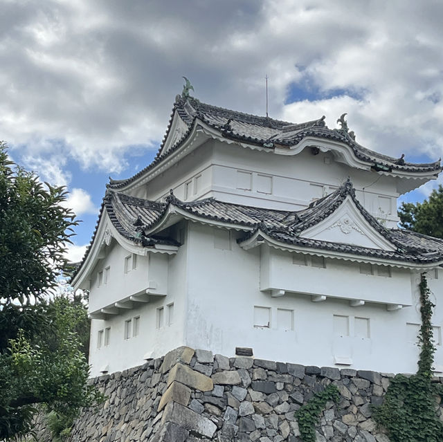 日本京都清水寺～充滿古色古香的漂亮城市