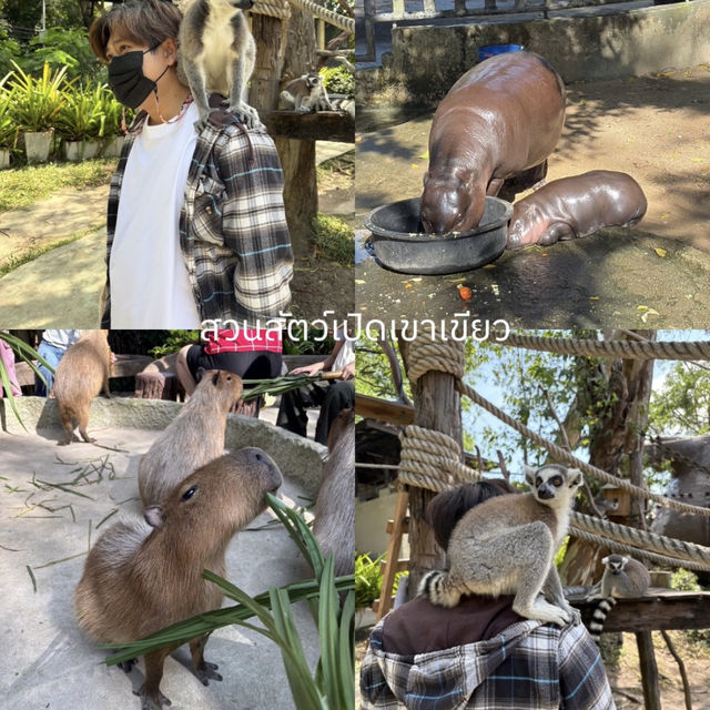 📍ไปหาหมูเด้งแบบ one day trip ‘ชลบุรี’ 🚗