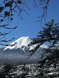 日本🇯🇵新宿到下吉田   找尋富士山美景🗻一日遊 