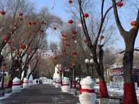 2-Days winter trip to Harbin