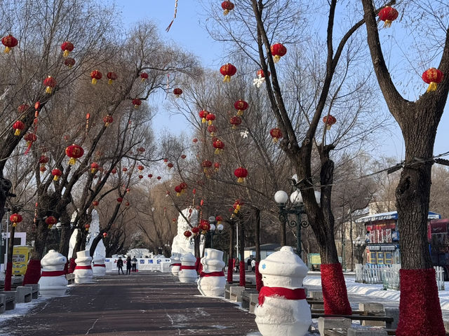 2-Days winter trip to Harbin