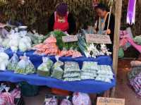 ตลาดนัดเด็กดอย