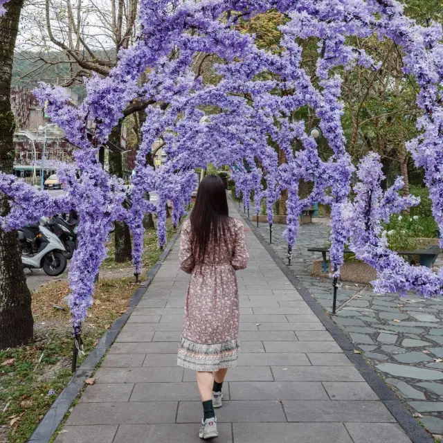 온천수와 푸른나무들이 조화를 이루는 온천프라자
