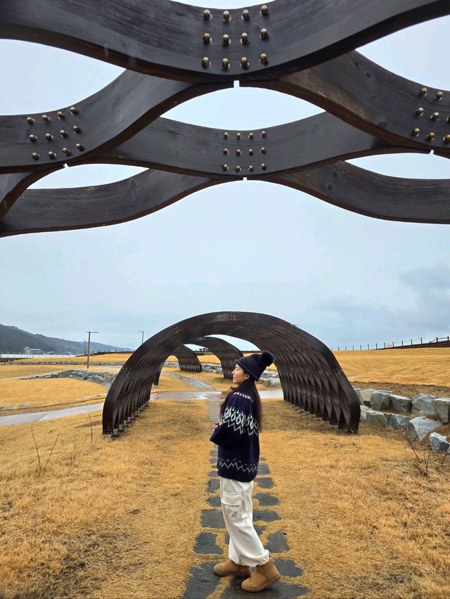 대형 대게포토존이 있는 영덕 해파랑공원🦀