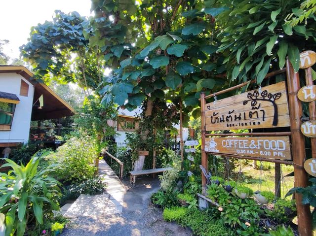 คาเฟ่สไตล์โฮมมี่ เหมือนมาบ้านเพื่อน จังหวัดพะเยา