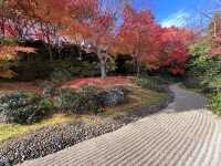 A Symphony of Colors — The Okochi Sanso Villa in Arashiyama