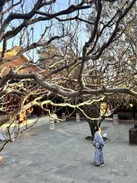 Beijing Summer Palace