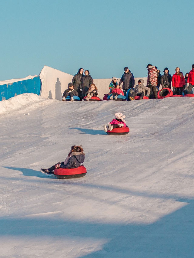Ttukseom Hangang Park ไปเล่น sledding ริมแม่น้ำฮัน