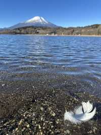 山中湖🇯🇵單車遊湖賞富士山🗻