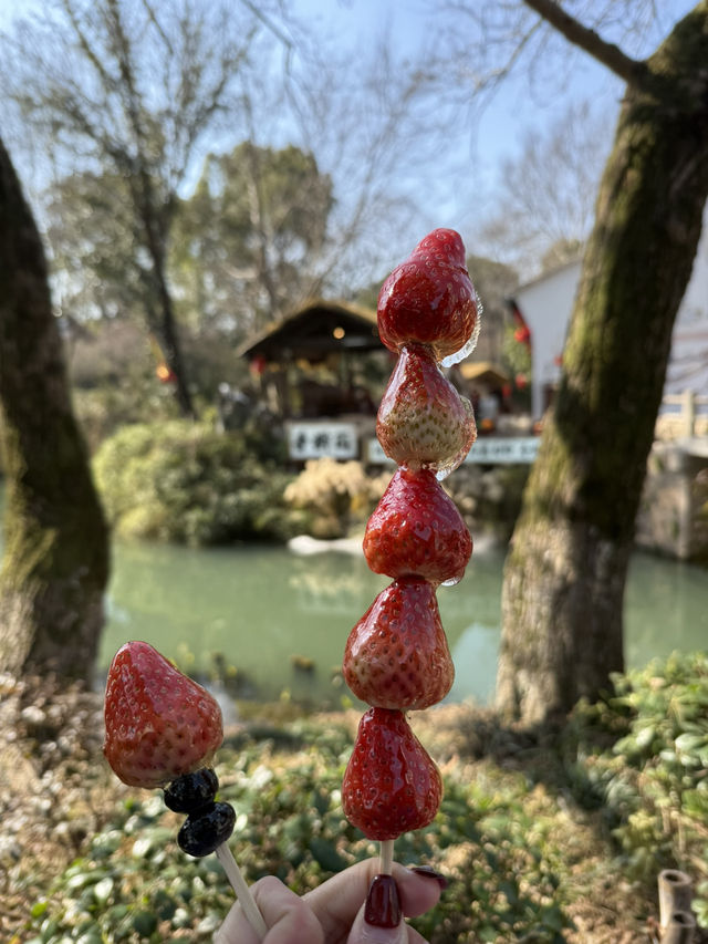 帶爸媽杭州遊