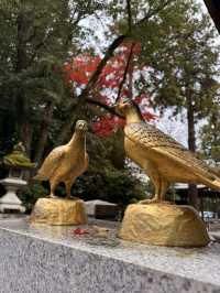 滋賀｜近江八幡水鄉風情 連接琵琶湖的昔日商業動脈