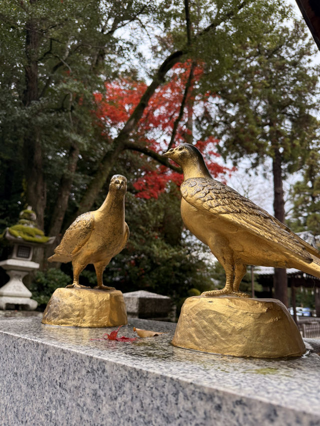 滋賀｜近江八幡水鄉風情 連接琵琶湖的昔日商業動脈