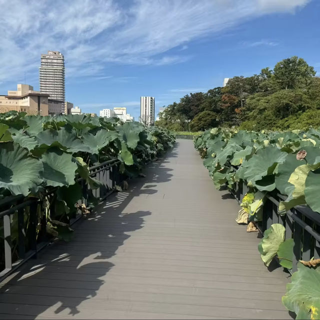長居公園-都市裡的一片清新綠洲