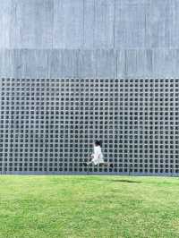 【沖縄】那覇市 近代的デザインの外観が美しい博物館•美術館