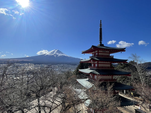 Mount Fuji Japan