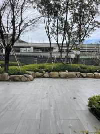 A walk in the park - The June mix park.