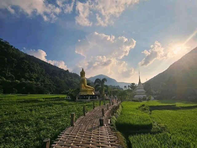 วัดนาคูหา
