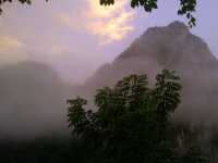 Embrace the Euphoria of Morning Fog 