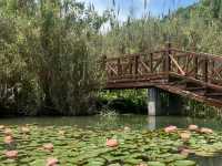 Luoshui Wetland Park: An Ecological and Cultural Haven