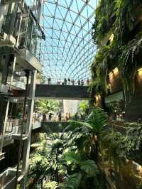 Jewel Changi Airport