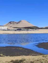 金黃草地的草千里之濱(阿蘇火山)