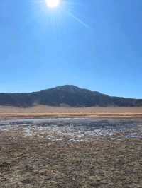 金黃草地的草千里之濱(阿蘇火山)