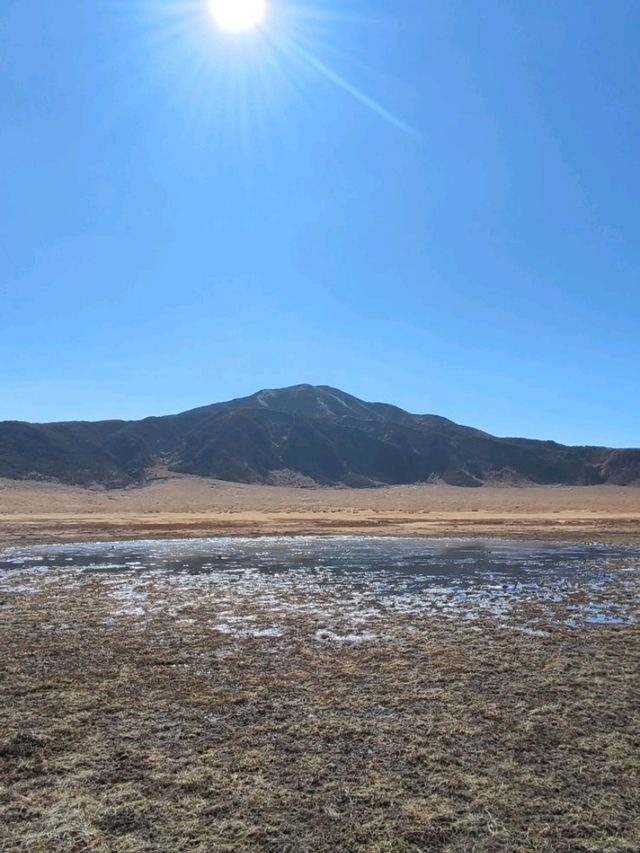 金黃草地的草千里之濱(阿蘇火山)