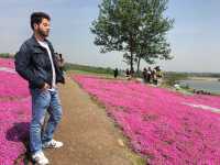 Lost in a Sea of Blossoms: Zhenjiang Shi