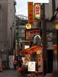 Discover Tokyo’s Hidden Gem: A Stroll Through Kichijoji